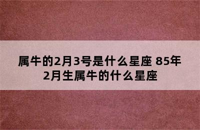 属牛的2月3号是什么星座 85年2月生属牛的什么星座